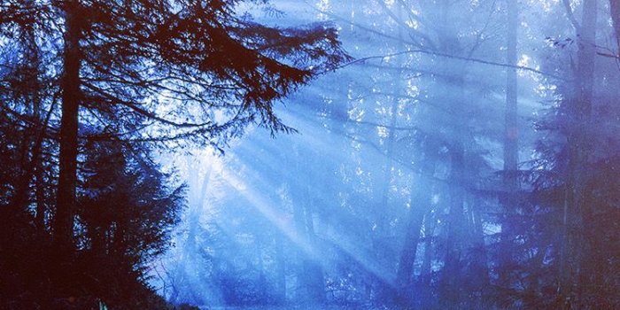 750x1334 iPhone7papers.com | iPhone7 wallpaper | nh74-sunny-road-wood-forest