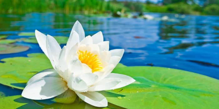 1920x1200 Sunny day wallpapers Gallery