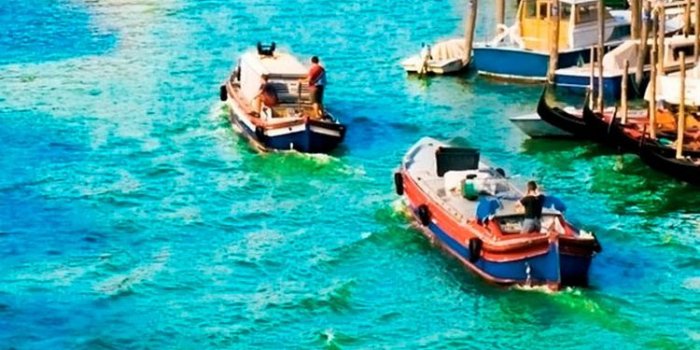 750x1334 10 FREE SUNNY IPHONE WALLPAPERS - PremiumCoding