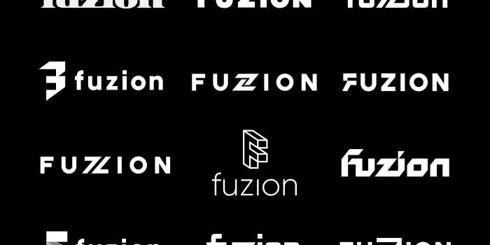 1400x1050 Fuzion All Versions by Kakha Kakhadzen on Dribbble