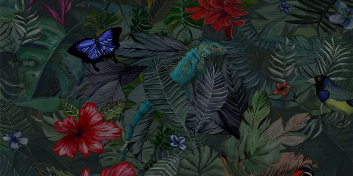 900x1731 The Waking Jungle Wallpaper