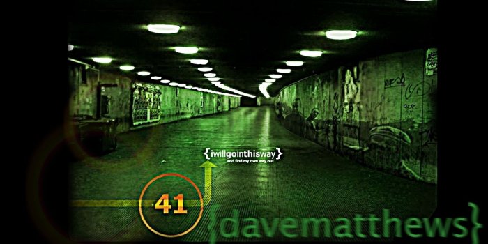 1280x850 Download DMB Dave Matthews Band Photo 9455181 [1280x850] | 48+ Dave