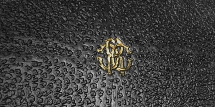 1440x613 Roberto Cavalli Luxury Wallpaper