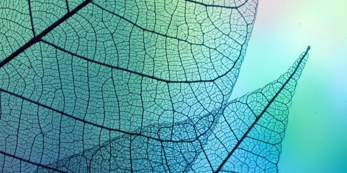 1440x2560 Samsung Galaxy S6 Wallpaper (88+ images)