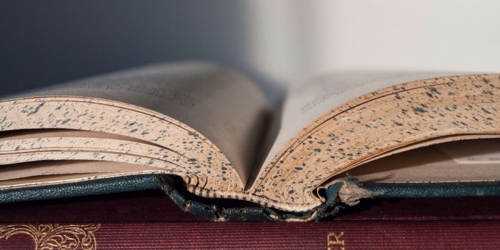 3840x2560 3002264 book, hobby, learning, literature, novel, outside, reading