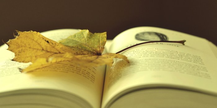 1920x1080 Download wallpaper 1920x1080 book, leaf, autumn, laying full hd