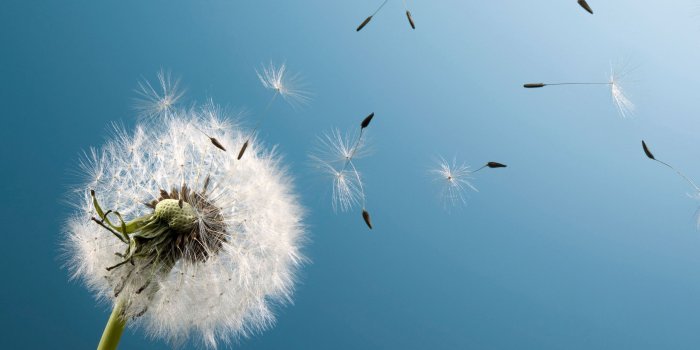 2160x1920 71 HD Samsung Wallpapers For Free Download