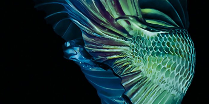 1440x2960 1440x2960 HD Wallpaper - 112