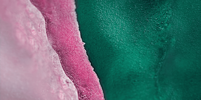 2560x2560 Download Samsung Galaxy S10 wallpaper - SamMobile