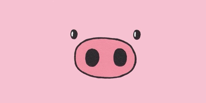 2048x2048 64+ Pig Screensaver Wallpapers on WallpaperPlay