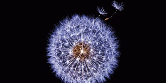 2560x2560 Download the official Samsung Galaxy S9 & S9+ wallpapers here