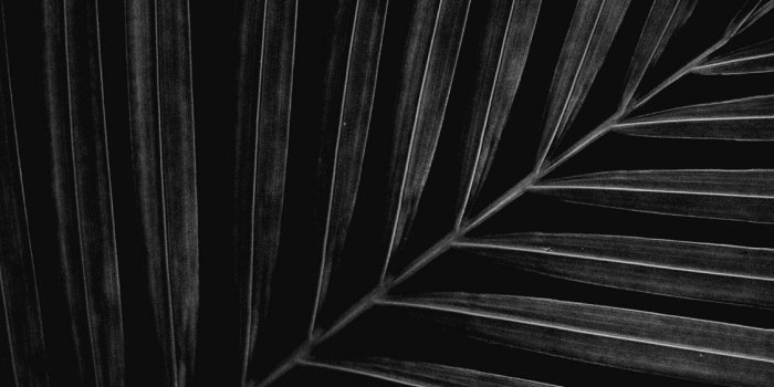 1125x2436 50+ Best iPhone X Wallpapers & Backgrounds