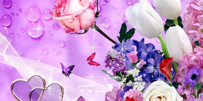 1600x1200 Beautiful Rose Flower Wallpaper, Best Rose Flower Wallpaper, - Happy