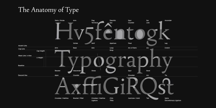 1920x1200 Wallpaper : Font Anatomy | font.is