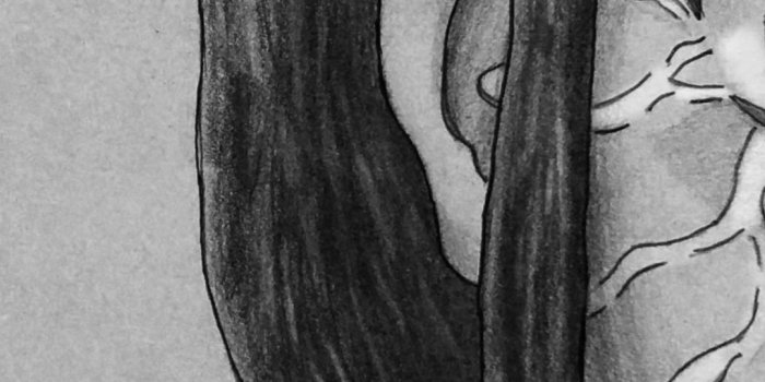 1080x1920 1080x1920 characters, neji hyuuga desktop wallpaper 54700