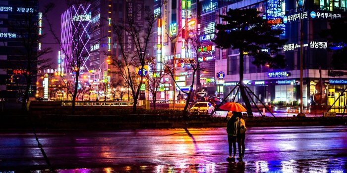 1737x1150 4575251 #Busan, #night, #street, #cityscape, #neon, #rain, #umbrella