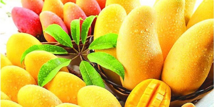 1280x800 Mango Fruit Wallpapers