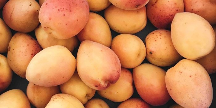 1000x1333 Mango Pictures | Download Free Images on Unsplash