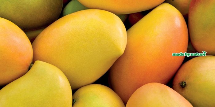 1024x768 57+] Mango Wallpaper on WallpaperSafari