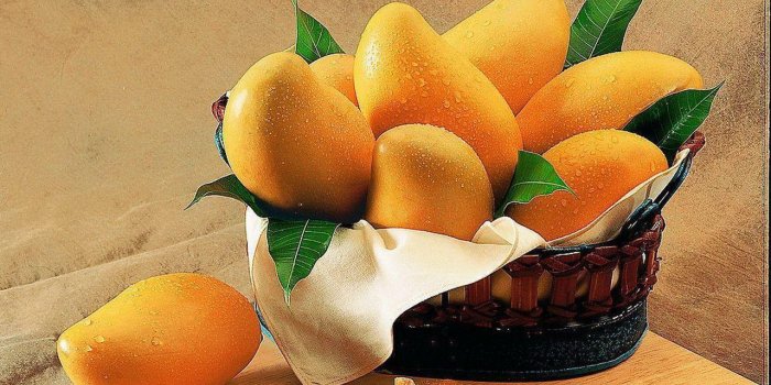 1280x800 Mango Wallpapers