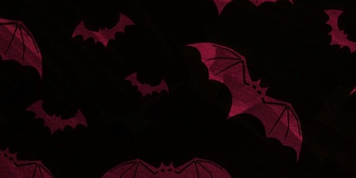1001x2048 Frickin bats | BATS! in 2019 | Goth wallpaper, Gothic wallpaper