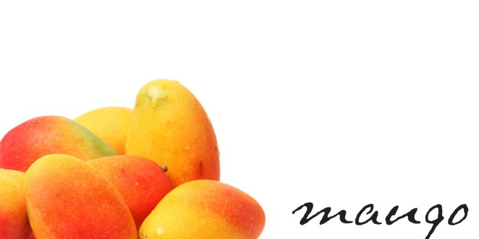 1920x1080 51+ Mango Wallpapers on WallpaperPlay