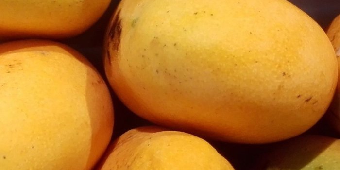 1080x1920 Mango photography 1080x1920 iPhone 8/7/6/6S Plus wallpaper