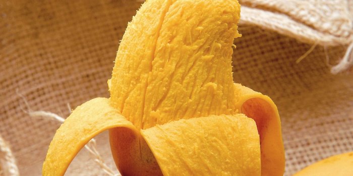 2560x1600 Mango HD Wallpapers | Shining Stuff - Hd Wallparers - Top 10