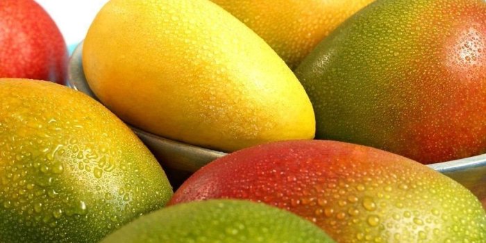 1024x768 Mango Hd Wallpaper Group (66+), Download for free