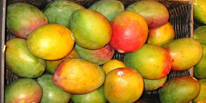 1680x1050 30 Images of Mango in FHDQ