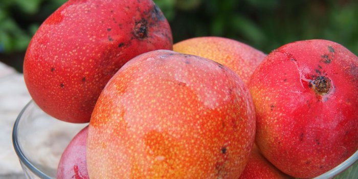 2400x1600 Mango Wallpapers Hd