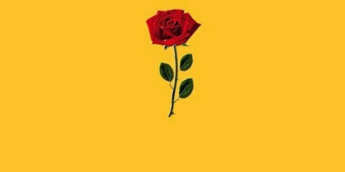 736x1308 aesthetic #aestheticwallpaper #iphonewallpaper #iphone Aesthetic