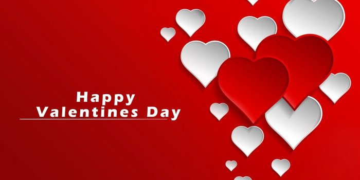 1920x1202 76+ Valentines Day Wallpapers on WallpaperPlay