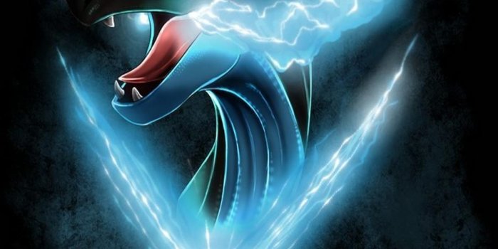 900x1440 Mega Charizard X Wallpaper for Android - APK Download