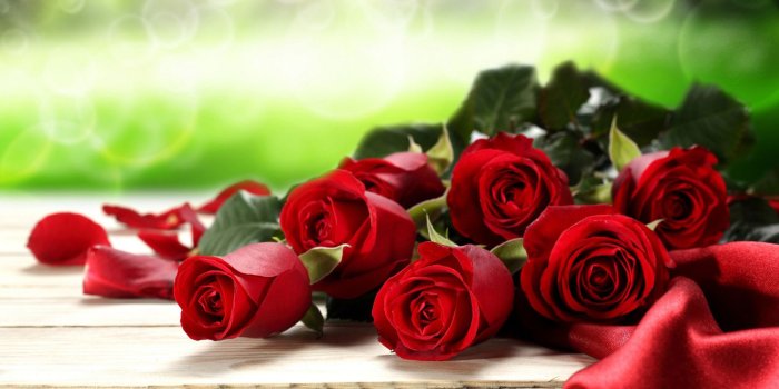 1920x1080 Roses Wallpaper for Desktop (46+ images)