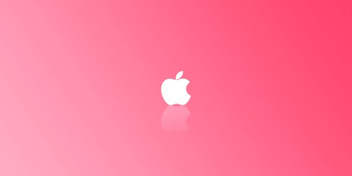 1284x698 Hd Pink Wallpaper | The Champion Wallpapers