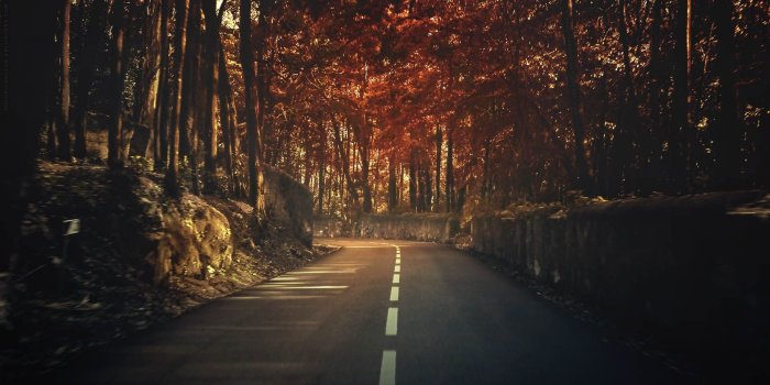 1920x1200 Wallpaper Pc Desktop Nature Wallpapers Free Download - Ultra