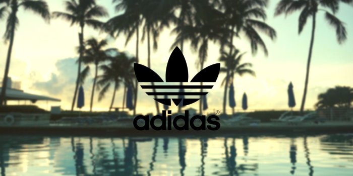 1920x1080 Adidas, Palm Trees Background ❤ 4K HD Desktop Wallpaper for 4K