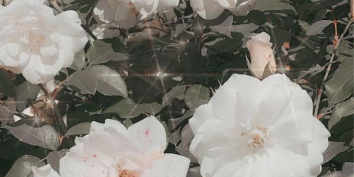 2560x4544 xxxtentacion wallpaper | Song lyrics | Screen wallpaper, Dope