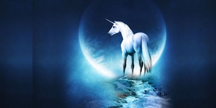 1920x1080 PC Wallpaper #6831502