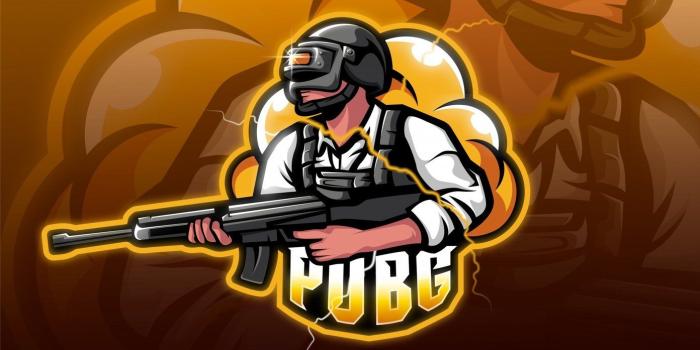 1392x783 Top 13 PUBG Wallpapers in Full HD for PC and Phone