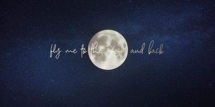 4000x2500 Free Wallpapers | Discover new Designs every Month | JO & JUDY