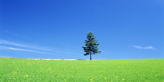 1920x1200 Cool pc wallpapers (@coolpcwallpaper) | Twitter