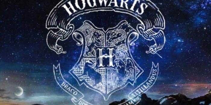 750x1252 Image about wallpaper in Harry Potter by Jessyca