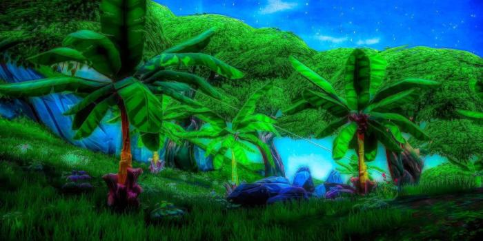 1220x686 Fortnite Battle Royale Background Hd | Fortnite Free Xp