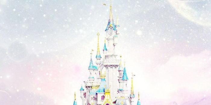 736x1377 43+] Disney Castle iPhone Wallpaper on WallpaperSafari