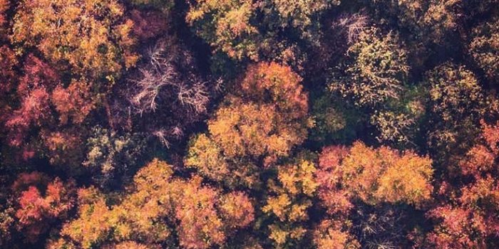 736x1308 15 Gorgeous Happy Fall iPhone X Wallpapers | Preppy Wallpapers