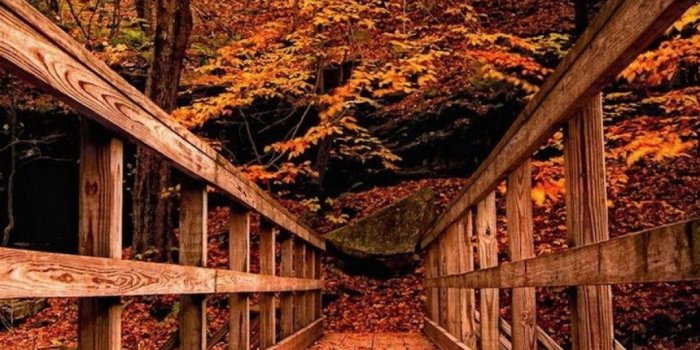 1080x1920 IPhone 6 Autumn Wallpaper (87+ images)