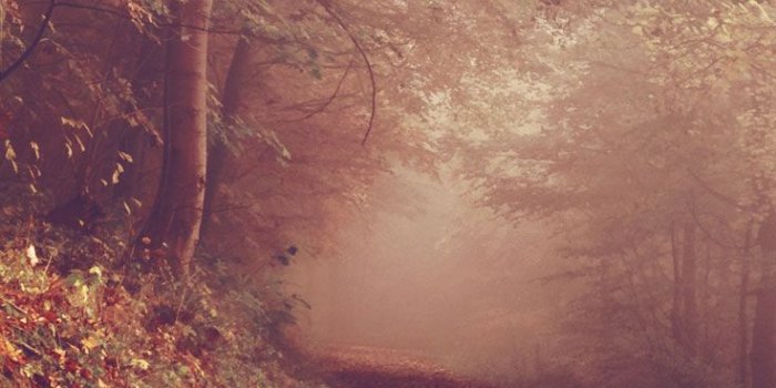 736x1308 8 Free Autumn Inspired iPhone 7 Plus Wallpapers | Preppy Wallpapers