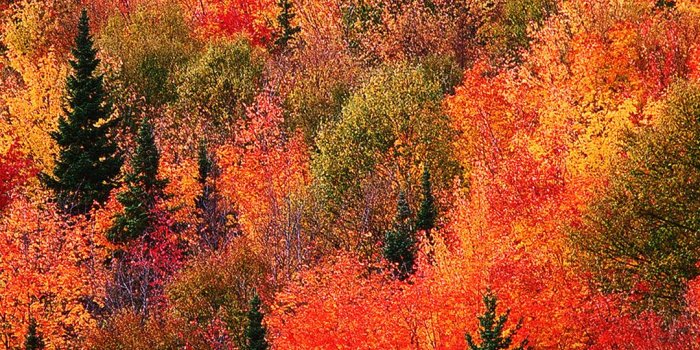 1080x1920 28 Breath-Taking and Most Beautiful Fall Wallpaper for Your iPhone